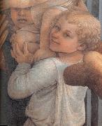 Fra Filippo Lippi Details of  Madonna and Child with Two Angels oil